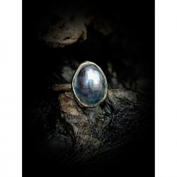 Δαχτυλίδι ναυτίλος 