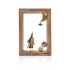 Decorative frame with brass - Witch