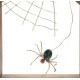 Διακοσμητικό κάδρο με μπρούντζο -  Η αράχνη  