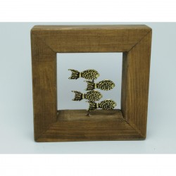 Decorative frame with bronze -fish  