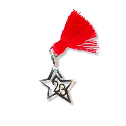 Silver charm of 23 - star (diameter: 1.5 cm) 