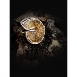 Women's ring with a fossilized shell - Ammonite