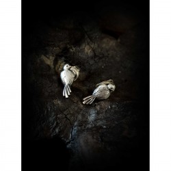 Σκουλαρίκια ασημένια - πουλιά